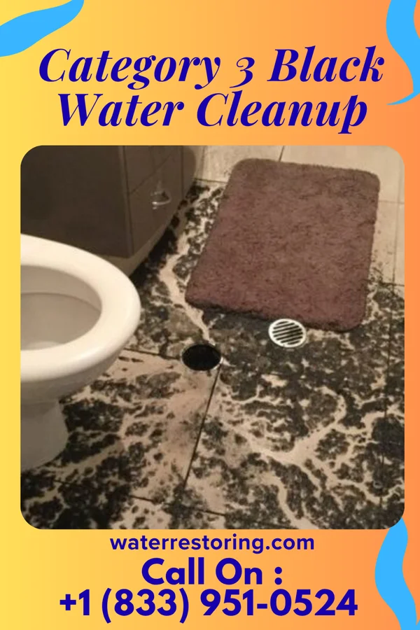 Category 3 Black Water Cleanup in Willis, KS