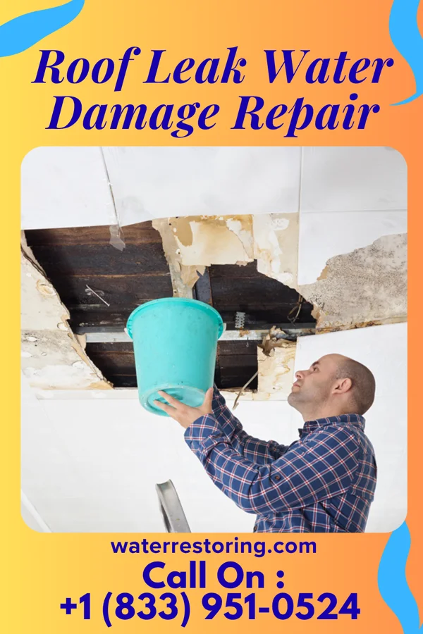 Roof Leak Water Damage Repair in Willis, KS