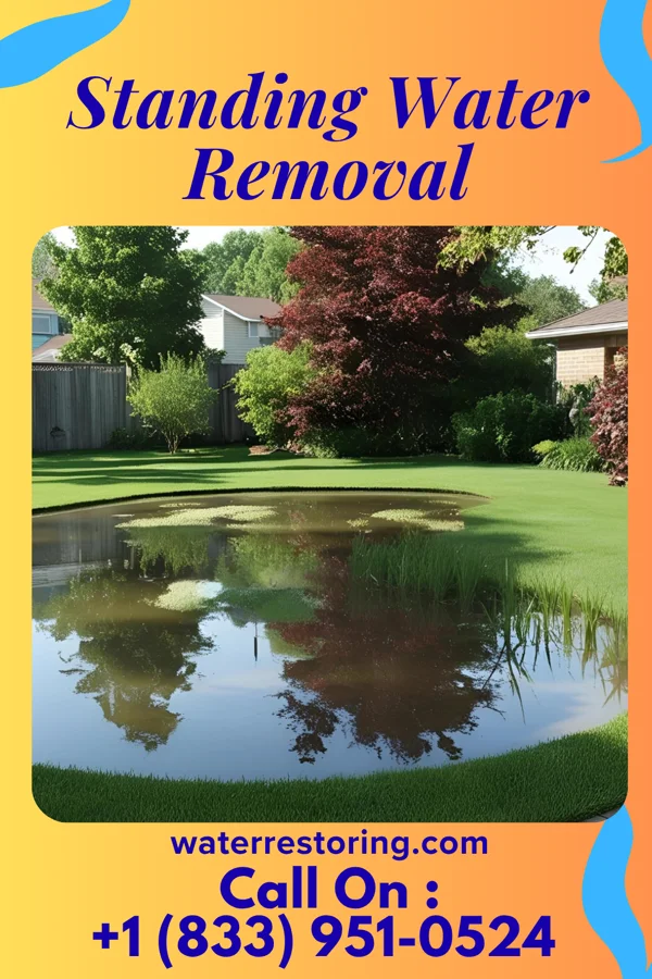 Standing Water Removal in Willis, KS